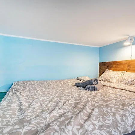 With Sauna & Parking In Oldtown *